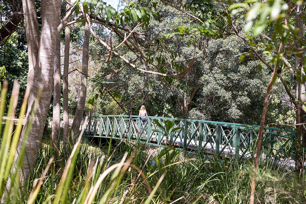 Brisbane Bushwalk Bridge